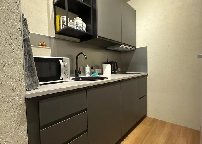 Διαμέρισμα Pilies Bohema 1 Κλαϊπέντα